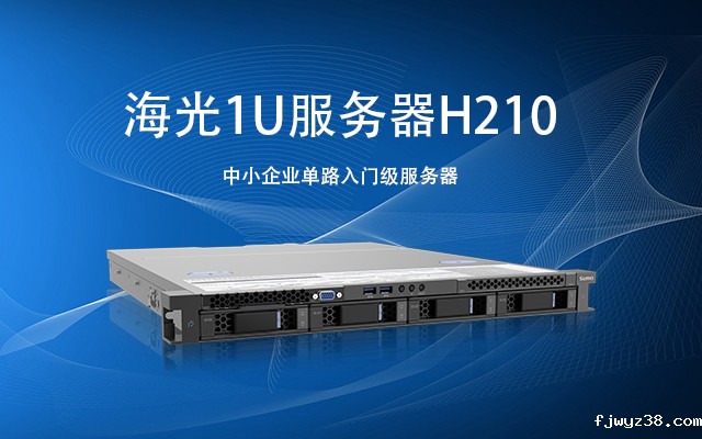 安全可控先锋：海光服务器H210 搭载国产X86处理器